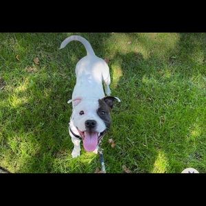 Meet your Posher, Joseph